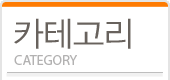 카테고리 정보